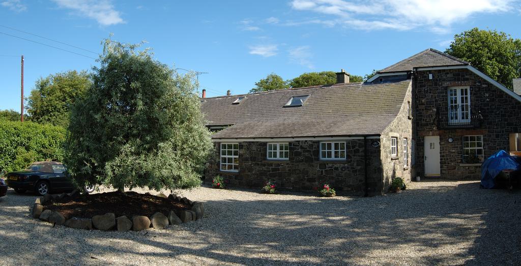 Shola Coach House B&B Coleraine Exterior photo
